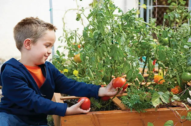 Spring And Summer Gardening Ideas To Get Your Kids Outside