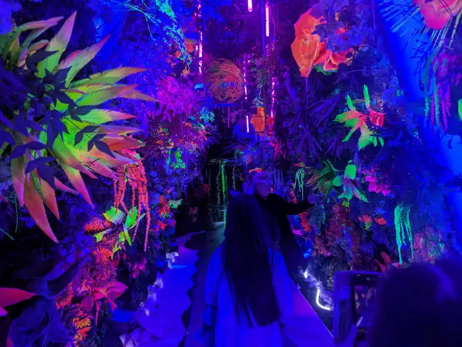 Is It Worth It...To Visit Immersive Art Center Inter_?