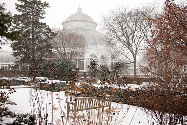 winter at the new york botanic garden