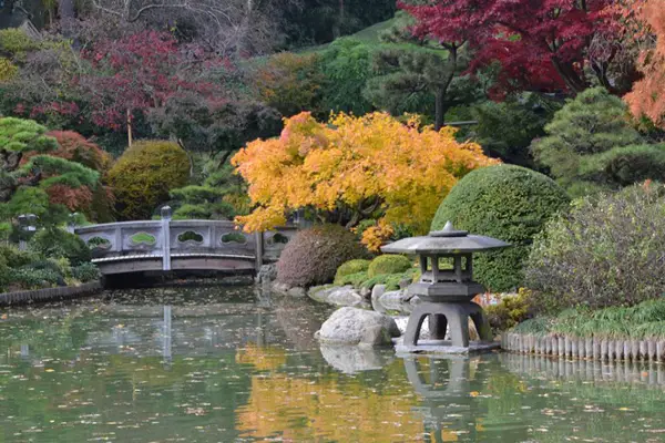 A view of the Japanese Garden at Brooklyn Botanic Garden.