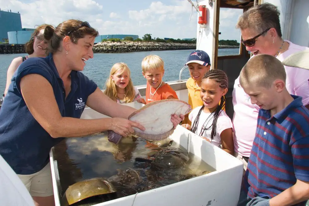 Creature Cruise at Maritime Aquarium CT