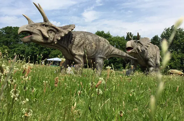 Field Station: Dinosaurs Lets Kids Be Paleontologists for a Day