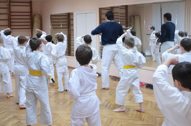 Martial Arts, Karate, and Tae Kwon Do Classes for Kids in Westchester County, NY