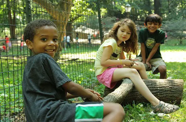 Bank Street Summer Camp Opens Brooklyn Heights Location