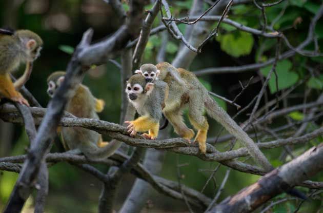 5 Reasons We Love the Bronx Zoo's Renovated Children's Zoo