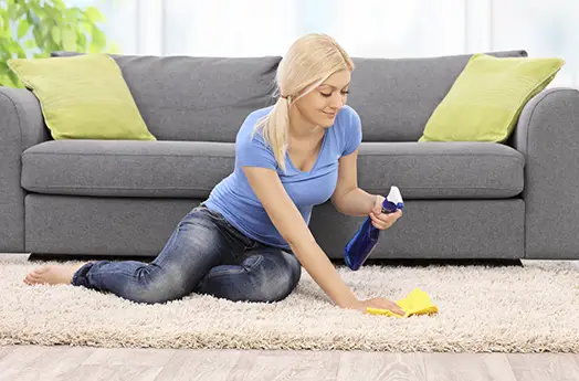 Expert Carpet Cleaning Tips for Families