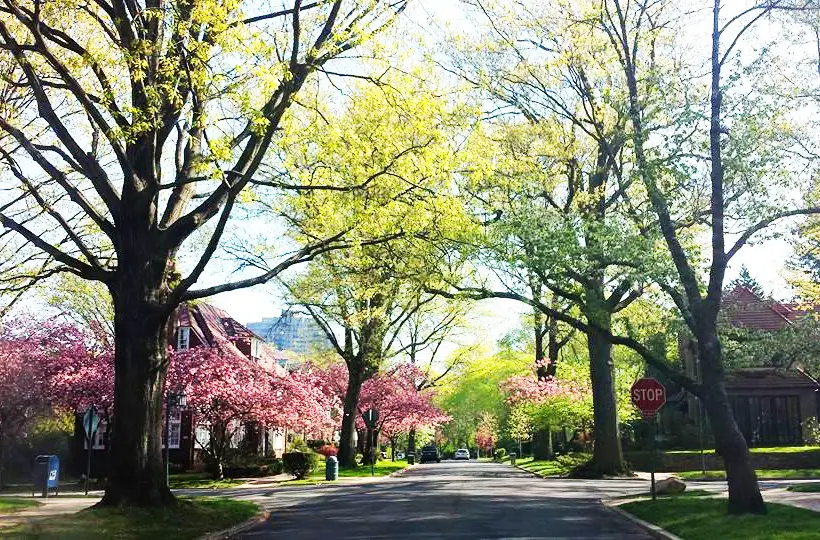 5 Reasons We Love Forest Hills