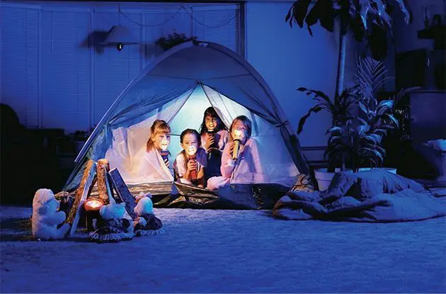 Re-Create Summer Camp at Home this Winter