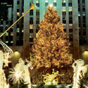 This Week in New York City: The Holidays Begin With Tree Lightings, Store Windows & More