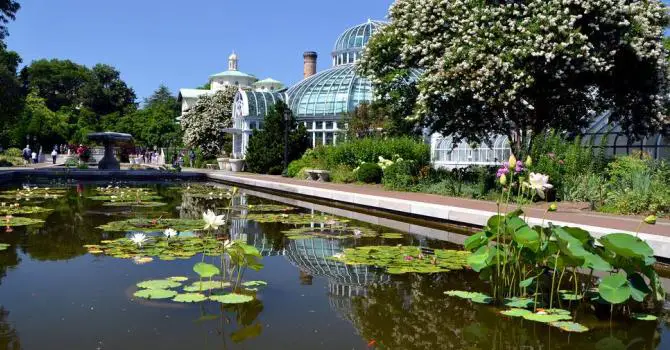 The Best Gardens of NYC