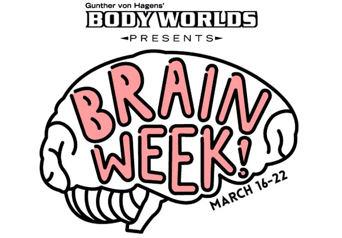 A Smart Discount on Brain Week at Discovery Times Square 
