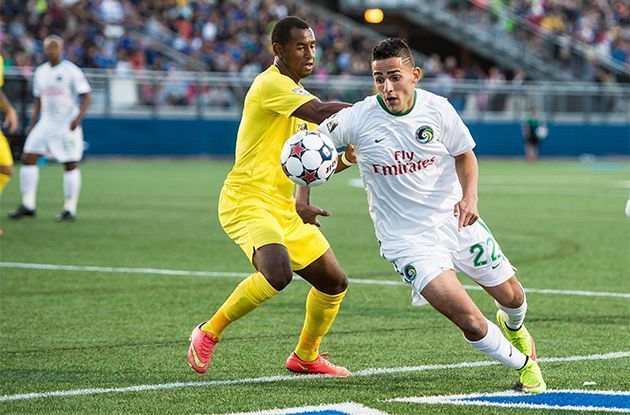 NY Cosmos in Playoff Contention