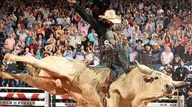 Buckle Up New York! Join the Professional Bull Riders at Madison Square Garden