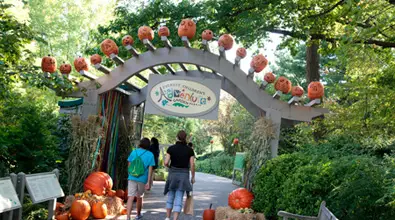 New World-Record Giant Pumpkin on Display at NY Botanical Garden through October