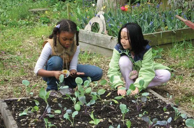 Tips for a Successful and Enjoyable Gardening Experience