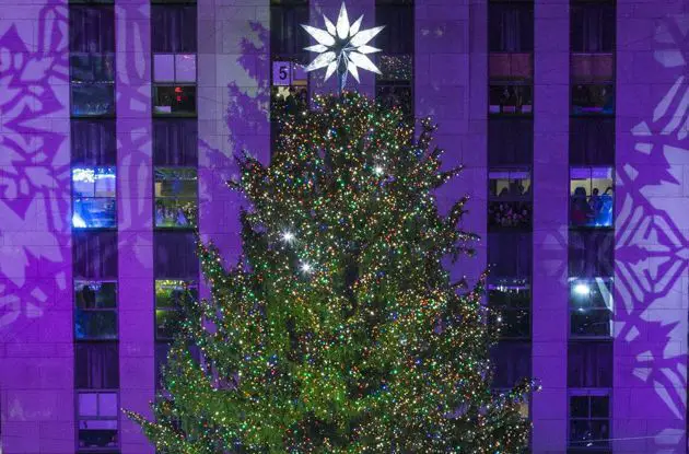 2020 Rockefeller Center Christmas Tree Details | NYMetroParents