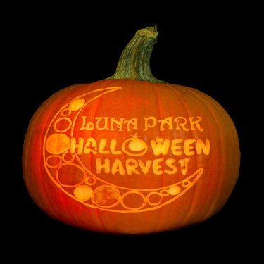 Pumpkin Carving Contest. from 2:00pm-4:00pm. 