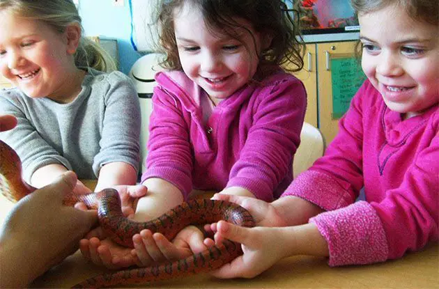 Temple Sholom Expands Nursery School Curriculum this School Year