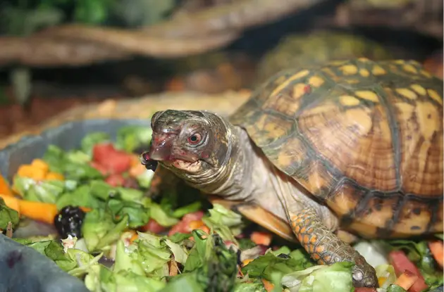 Family Outing: The Maritime Aquarium at Norwalk