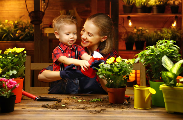 Houseplants Can Benefit Your Family’s Mental, Physical, and Emotional Well-Being