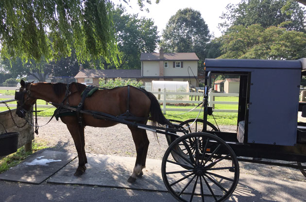 A Family Road Trip to Pennsylvania