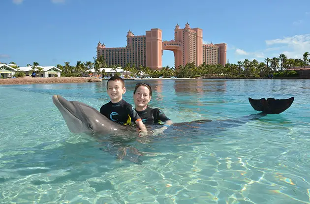 Atlantis Bahamas: A Marine Life Paradise