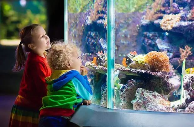 Free Aquariums, Museums, Zoos, and Gardens with Suggested Donations