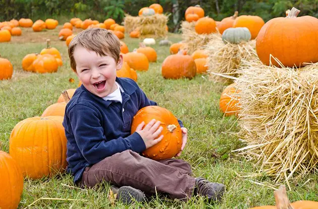 boy in pumpkin patch