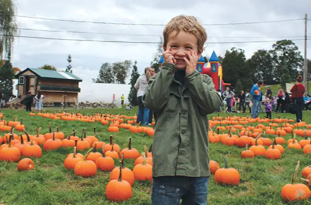 Top Activities for Kids in October in the NYC Region