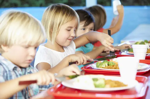 Summer Camps That Provide Lunch for Campers in Queens