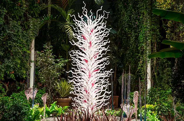 The CHIHULY Exhibit Is Opening at The New York Botanical Garden