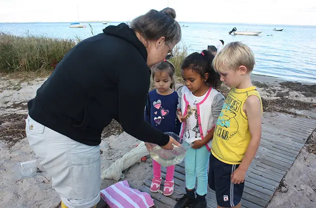 Fire Island School District Expands Pre-K and Non-Resident Enrollment