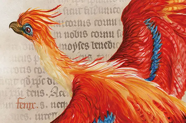 Harry Potter – A History of Magic: The Book of the Exhibition