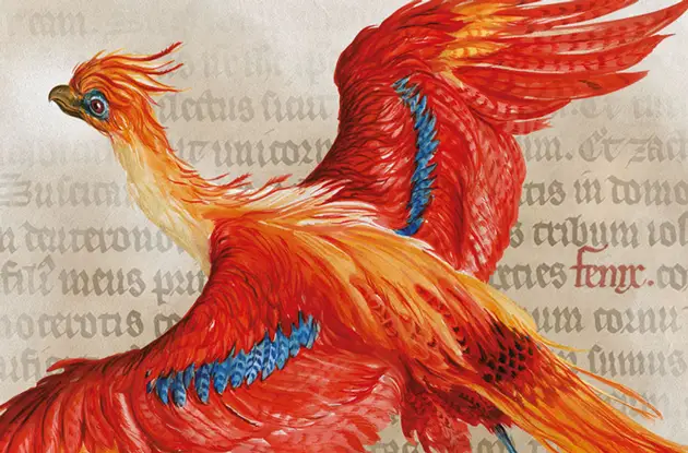Harry Potter Exhibit Debuts at the Upper West Side’s New-York Historical Society
