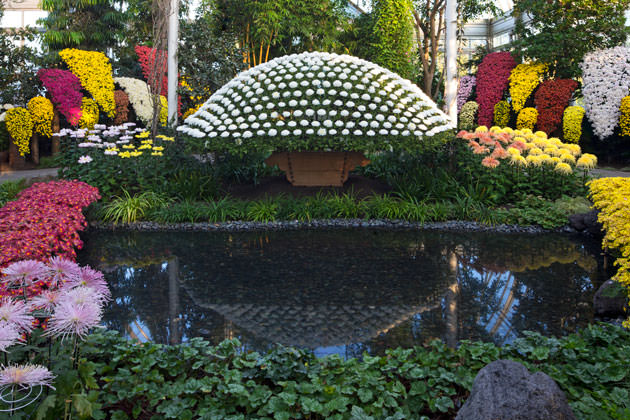 Kiku: The Art of the Japanese Garden Returns to New York Botanical Garden