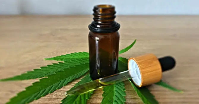 Where to Purchase CBD Oil in New York?