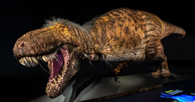 He's the Lizard King: New T. Rex Exhibit Kicks Off AMNH's 150th Anniversary