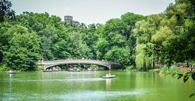 The Best Parks in NYC