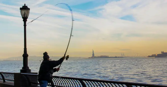 How to Fish in NYC