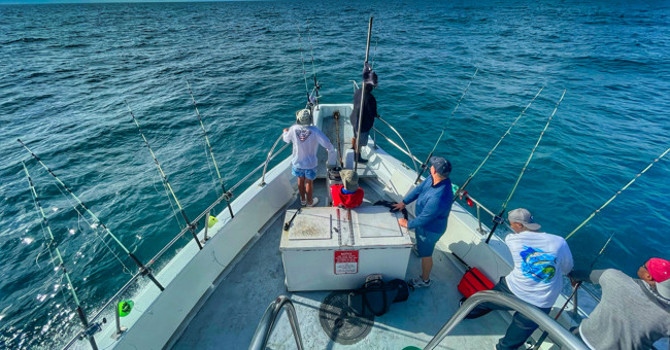 Charter Fishing in NYC