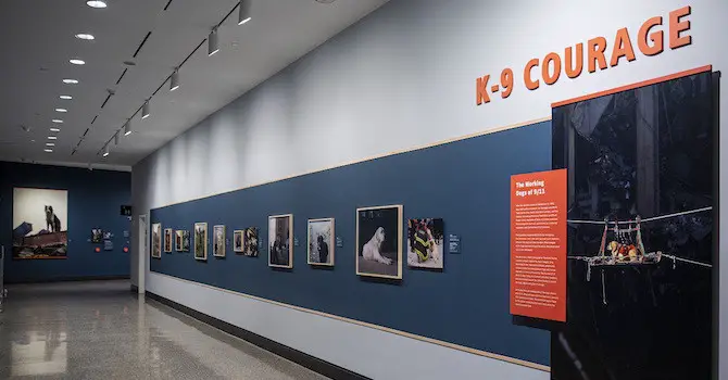 Hero Dogs: K-9 Courage Exhibition at 9/11 Museum