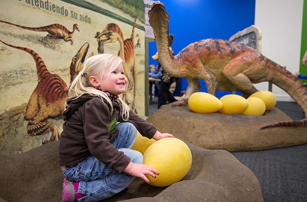 Long Island Children's Museum Debuts Dinosaur Exhibit
