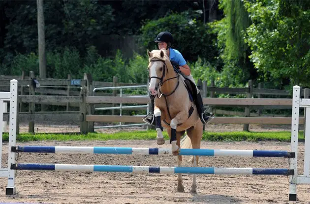 Thomas School of Horsemanship Welcomes New Camp Director, Adds New Camp Programs