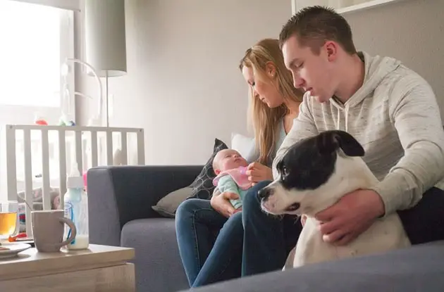 Introducing Dog to Baby