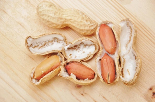 Skin Patch May Help Kids with Peanut Allergies