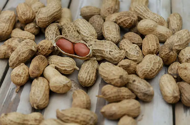 Infants Should Eat Peanuts to Prevent Allergies, New Guidelines Say