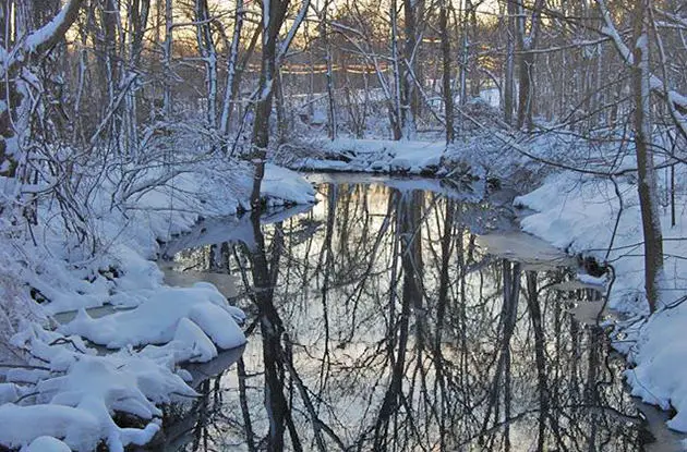 rye nature center nanderwhere pond