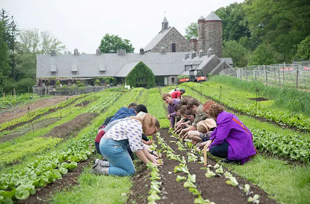 Family-Friendly Educational Farms in Westchester