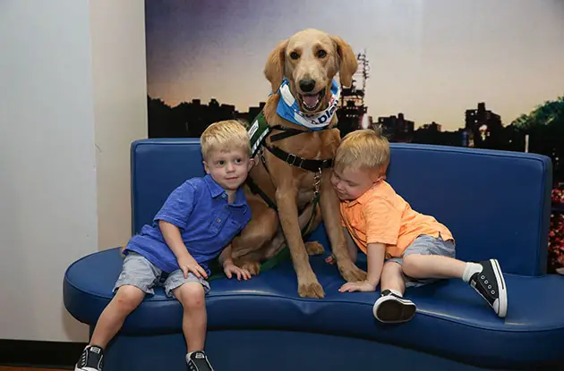 Paws and Play Program Launches at Mount Sinai's Kravis Children's Hospital