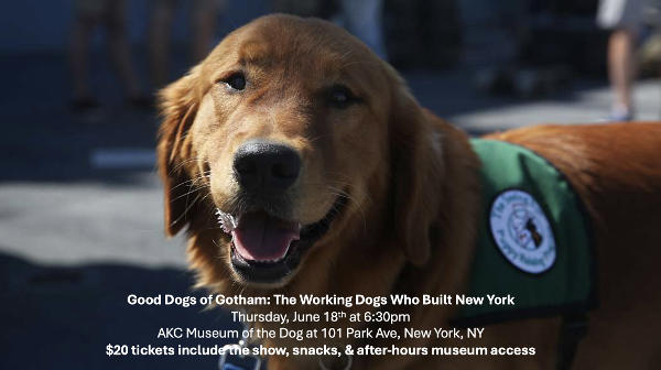 Good Dogs of Gotham: The Working Dogs Who Built New York at AKC Museum of the Dog